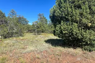 5020 Bison Trail, Lakeside, AZ 85929 - Photo 1