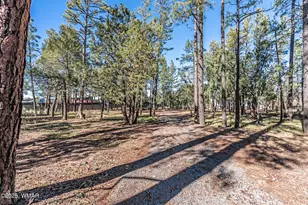 3546 Mulholland Dr, Lakeside, AZ 85929 - Photo 16