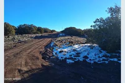 286 County Road, Concho, AZ 85924 - Photo 20