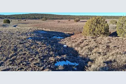 286 County Road, Concho, AZ 85924 - Photo 8