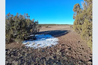 286 County Road, Concho, AZ 85924 - Photo 14