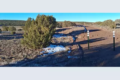 286 County Road, Concho, AZ 85924 - Photo 1