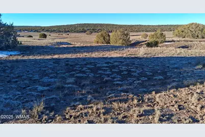 286 County Road, Concho, AZ 85924 - Photo 6