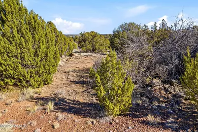 1955 Daggs Circle, Show Low, AZ 85901 - Photo 14