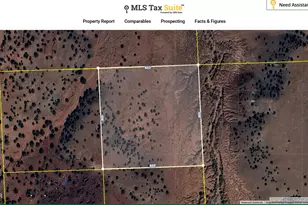 Tbd Big Valley Ranches 10Ac, Concho, AZ 85924 - Photo 1