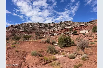 2345 W Ridgeview Ranch Drive, Snowflake, AZ 85937 - Photo 10