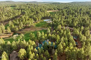 961 Ginnala Ln, Show Low, AZ 85901 - Photo 78