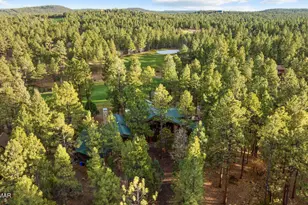 961 Ginnala Ln, Show Low, AZ 85901 - Photo 76