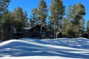 961 Ginnala Ln, Show Low, AZ 85901 - Photo 72