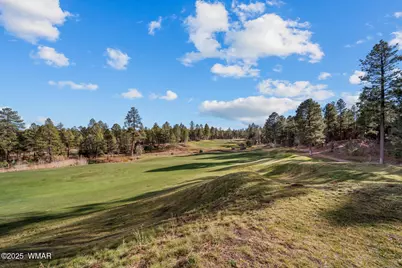 961 Ginnala Lane, Show Low, AZ 85901 - Photo 68