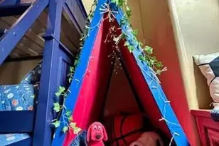 961 Ginnala Ln, Show Low, AZ 85901 - Photo 44