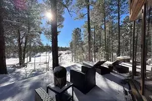 961 Ginnala Ln, Show Low, AZ 85901 - Photo 66