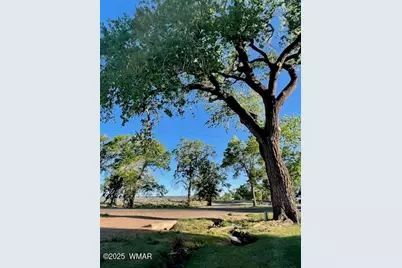 590 W 2nd Street, Saint Johns, AZ 85936 - Photo 6