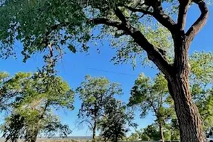 590 W 2nd St, Saint Johns, AZ 85936 - Photo 6