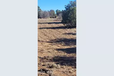 2529 Lone Star Road, Show Low, AZ 85901 - Photo 14