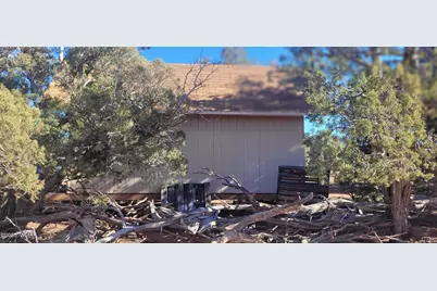 2529 Lone Star Road, Show Low, AZ 85901 - Photo 10