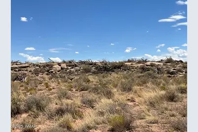 000 Churchill Road, Snowflake, AZ 85937 - Photo 24