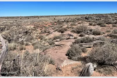 000 Churchill Road, Snowflake, AZ 85937 - Photo 10