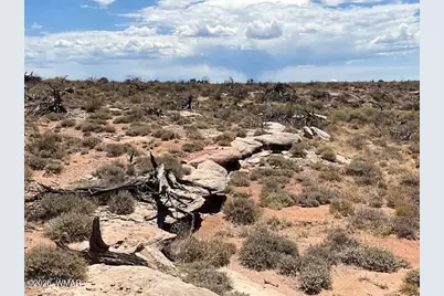 000 Churchill Road, Snowflake, AZ 85937 - Photo 16