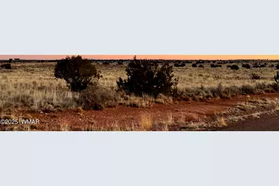 5175 Old Woodruff Road, Snowflake, AZ 85937 - Photo 12