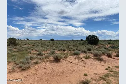 5175 Old Woodruff Road, Snowflake, AZ 85937 - Photo 4