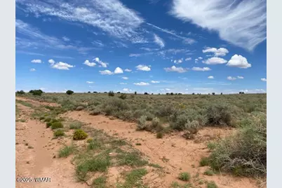 5175 Old Woodruff Road, Snowflake, AZ 85937 - Photo 6