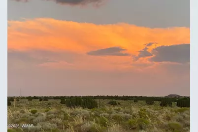 5175 Old Woodruff Road, Snowflake, AZ 85937 - Photo 8