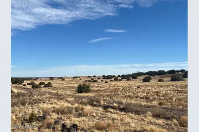 000 Cr5139, Concho, AZ 85924 - Photo 8