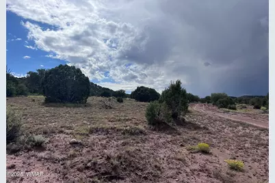 2837 Rebel Yell Road, Show Low, AZ 85901 - Photo 10