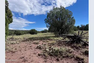 2837 Rebel Yell Road, Show Low, AZ 85901 - Photo 2