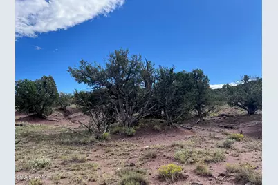 2837 Rebel Yell Road, Show Low, AZ 85901 - Photo 4