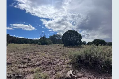 2837 Rebel Yell Road, Show Low, AZ 85901 - Photo 12