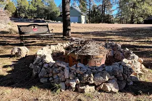 2240 Fairway Dr, Overgaard, AZ 85933 - Photo 48