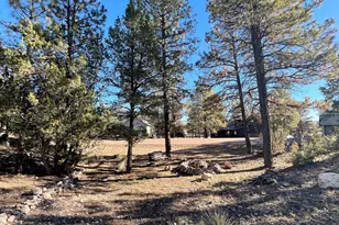 2240 Fairway Dr, Overgaard, AZ 85933 - Photo 48