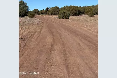 3 N 8716, Concho, AZ 85924 - Photo 4