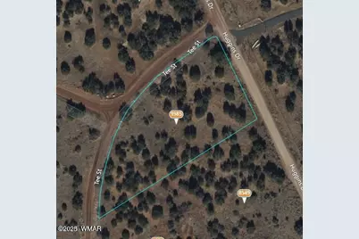 1985 Tee Street, White Mountain Lake, AZ 85912 - Photo 10