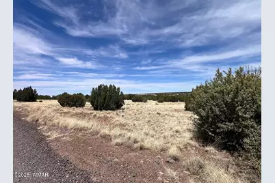 1985 Tee Street, White Mountain Lake, AZ 85912 - Photo 4