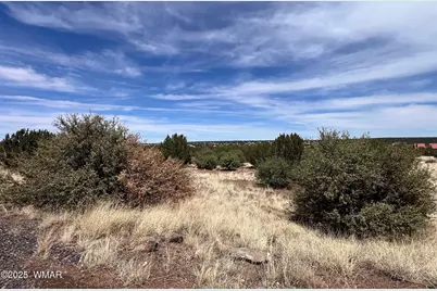 8542 Airport, White Mountain Lakes, AZ 85912 - Photo 4