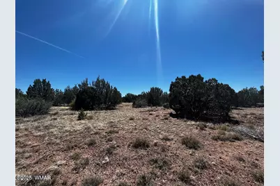 8542 Airport, White Mountain Lakes, AZ 85912 - Photo 8
