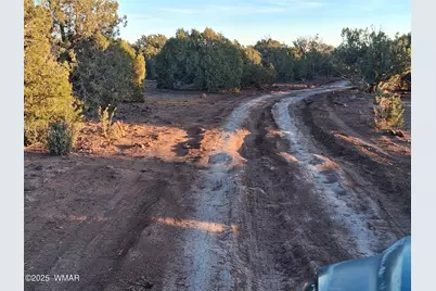 Tbd 201-32-006, Concho, AZ 85924 - Photo 2