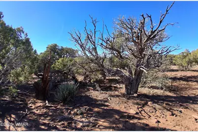 Tbd 201-32-006, Concho, AZ 85924 - Photo 6
