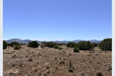 14 N3111, Vernon, AZ 85940 - Photo 10