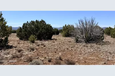 14 N3111, Vernon, AZ 85940 - Photo 4