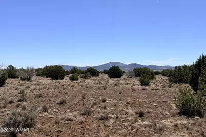14 N3111, Vernon, AZ 85940 - Photo 6