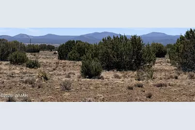 14 N3111, Vernon, AZ 85940 - Photo 10