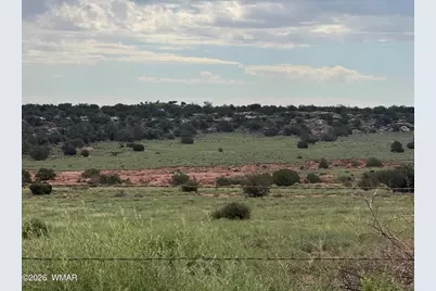 Tbd Stirrup Road, Snowflake, AZ 85937 - Photo 6