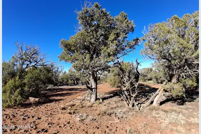 5 N8716, Concho, AZ 85924 - Photo 10