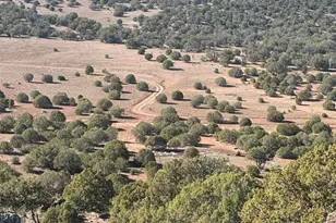 219 North 8716, Concho, AZ 85924 - Photo 24