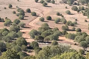 219 North 8716, Concho, AZ 85924 - Photo 20