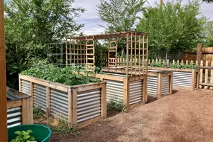 49 N Zuni St, Springerville, AZ 85938 - Photo 38